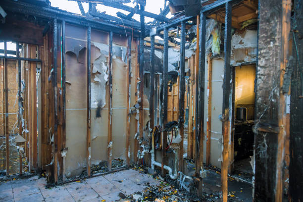Professional Odor Removal technician working in Kingston, PA