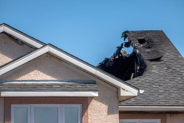 Top rated local Odor Removal specialists in Kingston, PA